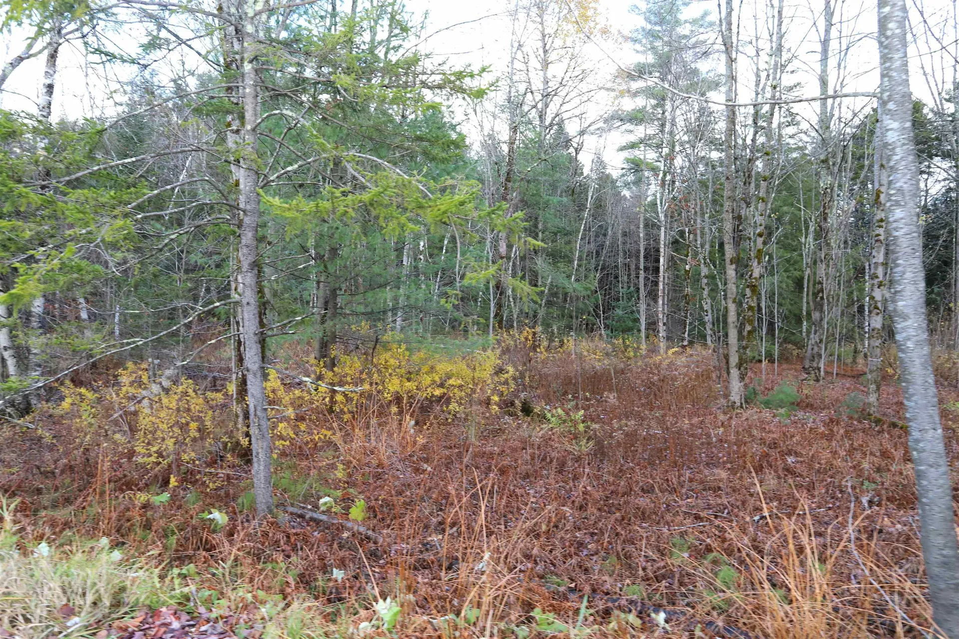 Tbd Sargents Way Jay VT 05859