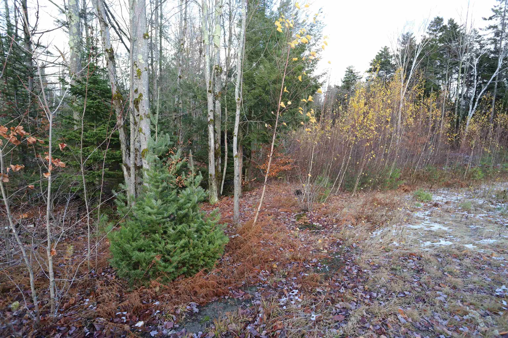 Tbd Sargents Way Jay VT 05859