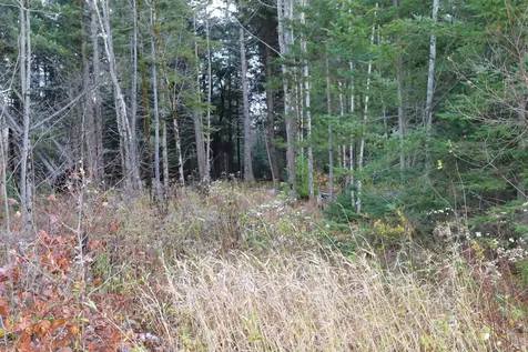 Tbd Sargents Way Jay VT 05859