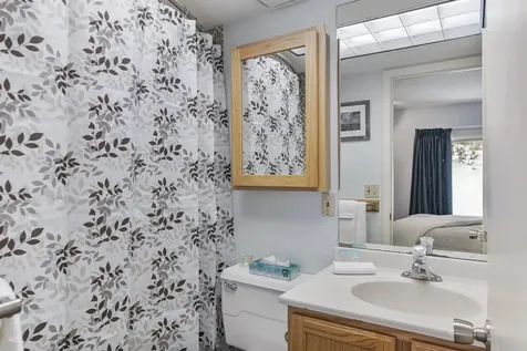 220 Mountainside Drive Stowe VT 05672