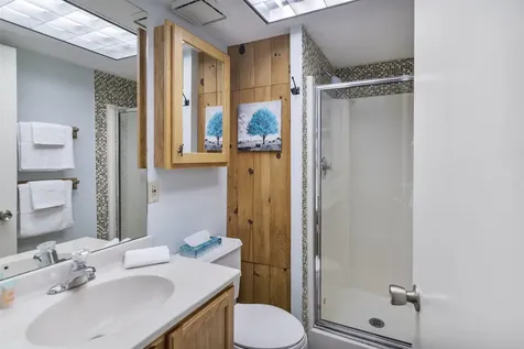 220 Mountainside Drive Stowe VT 05672