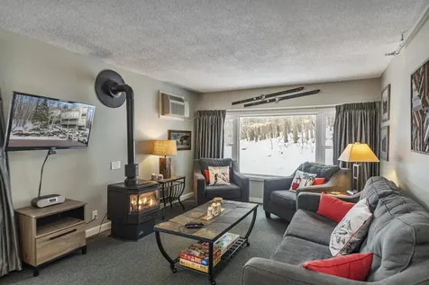 220 Mountainside Drive Stowe VT 05672