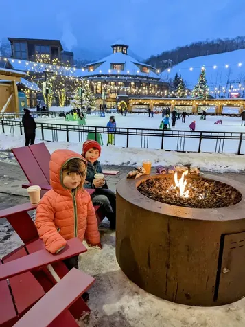 220 Mountainside Drive Stowe VT 05672