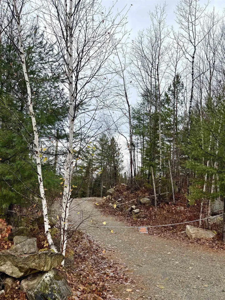 61 Thorn Hill Road Bethlehem NH 03574