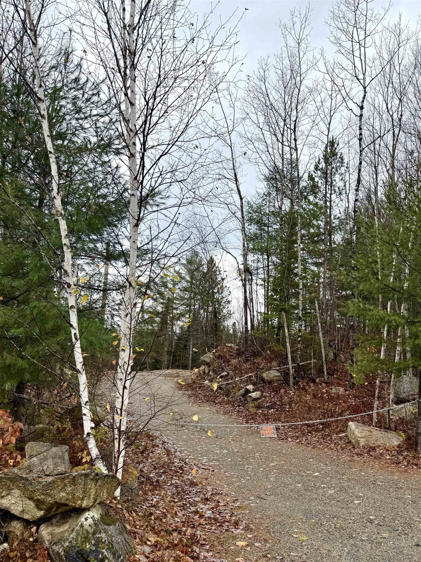 61 Thorn Hill Road Bethlehem NH 03574