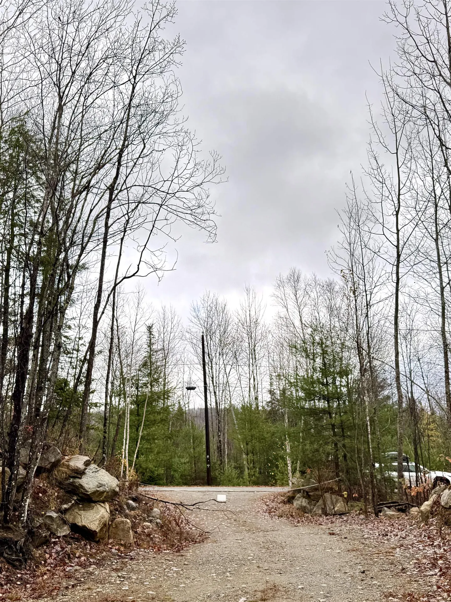 61 Thorn Hill Road Bethlehem NH 03574