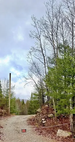 61 Thorn Hill Road Bethlehem NH 03574