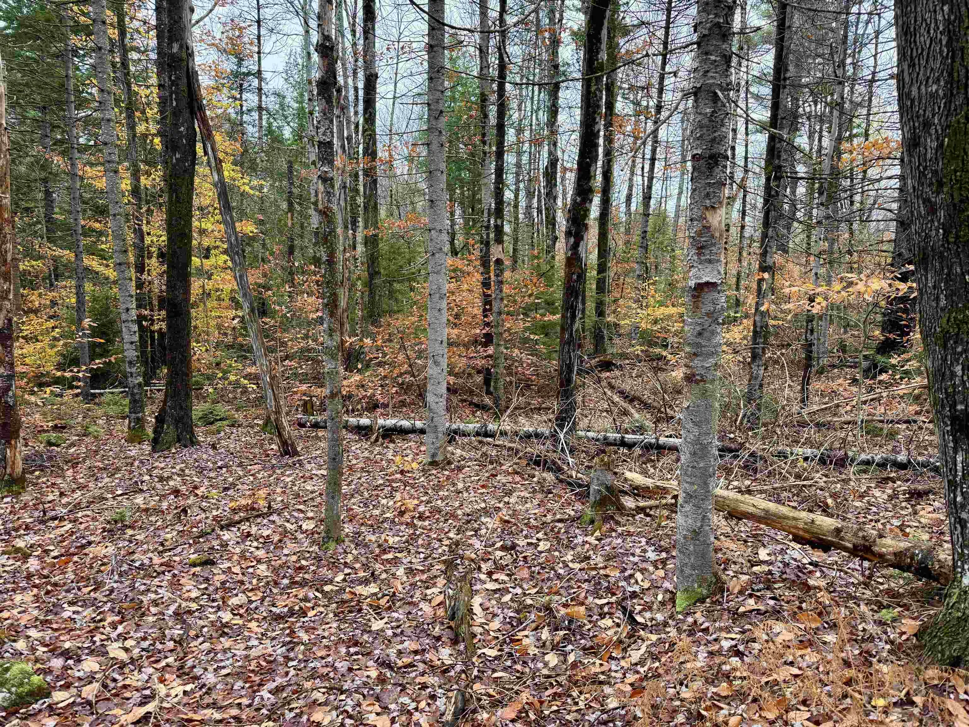 0 Washington Drive Washington NH 03280