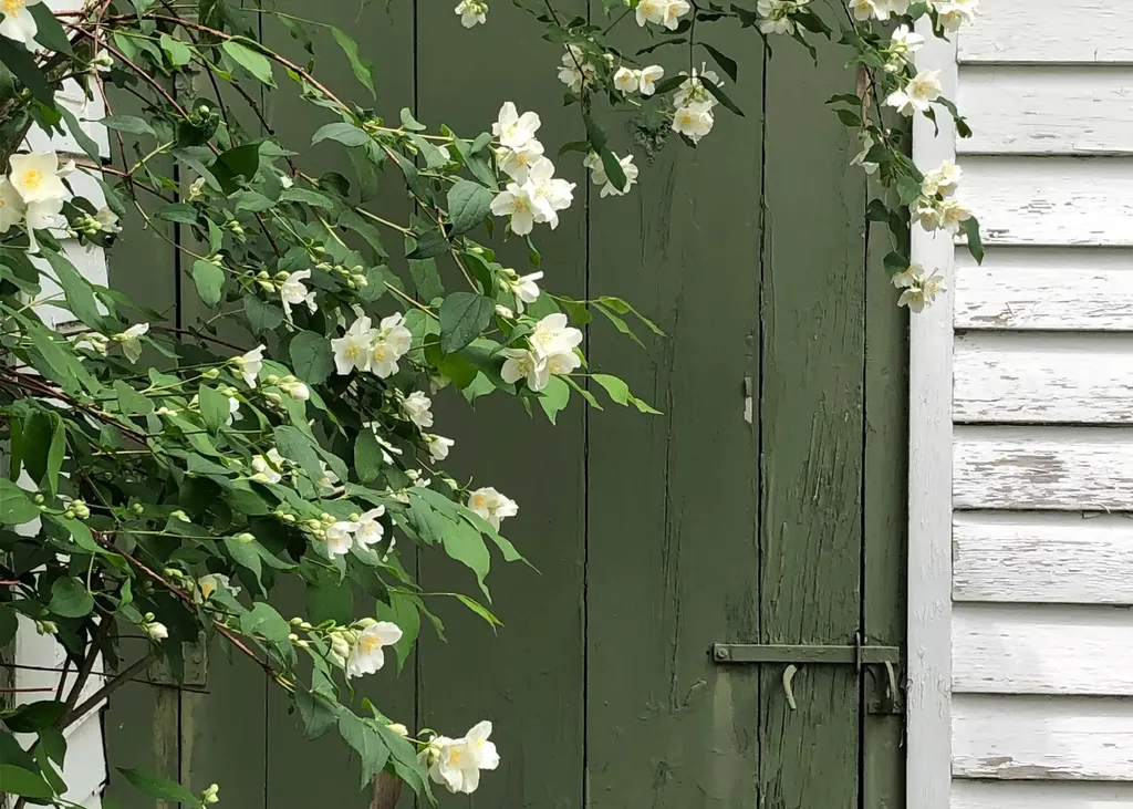 1 Hop Kiln Road Bow NH 03304