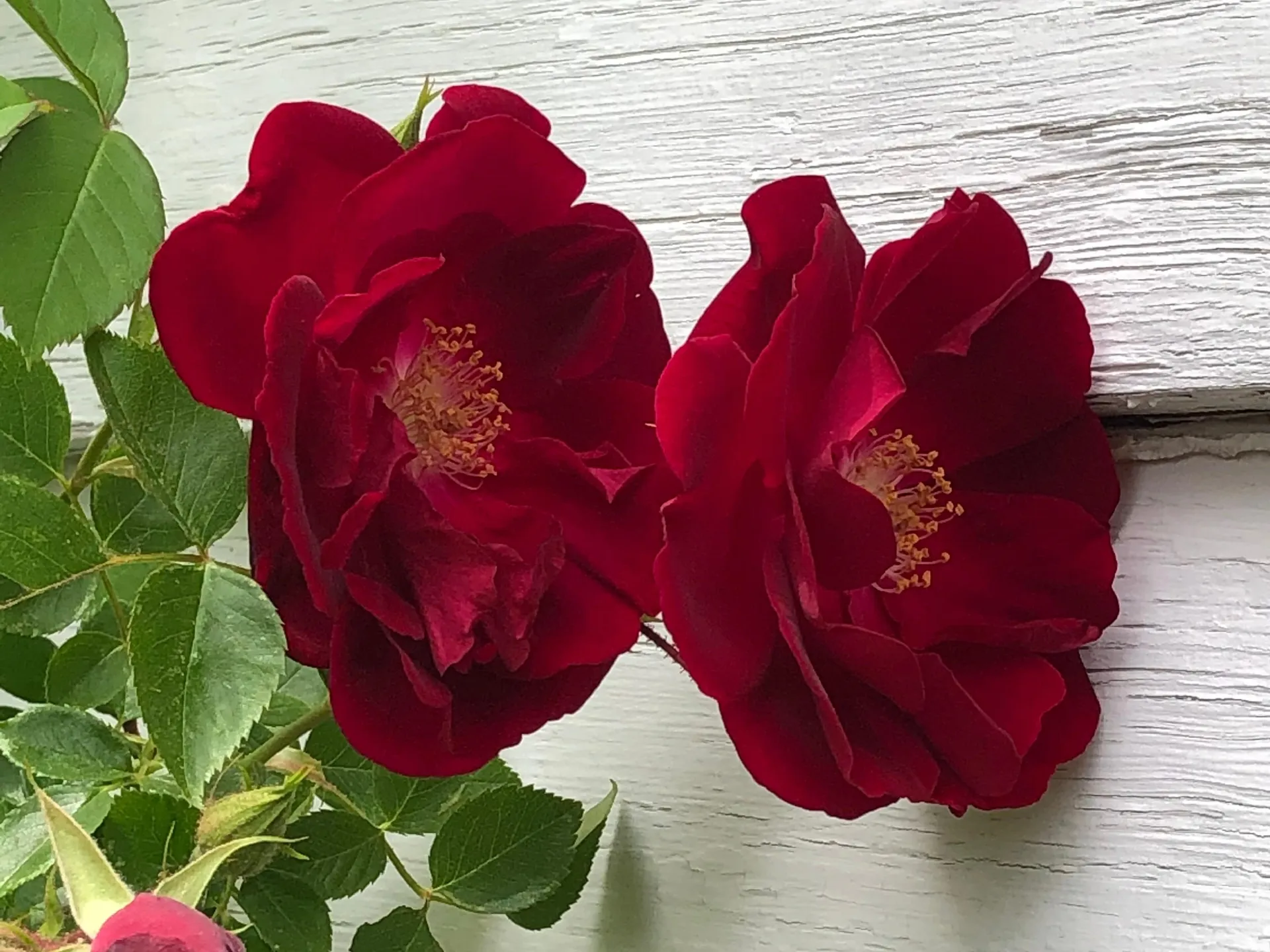 1 Hop Kiln Road Bow NH 03304