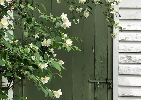 1 Hop Kiln Road Bow NH 03304