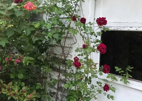 1 Hop Kiln Road Bow NH 03304