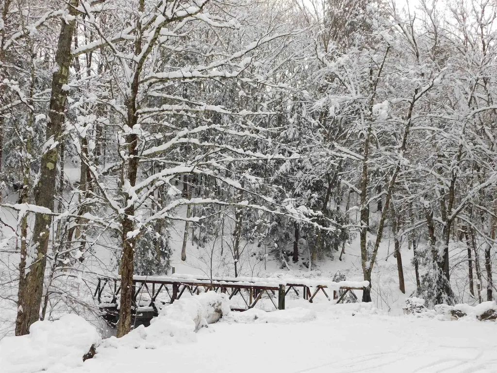 226 Lucier Road Jay VT 05859