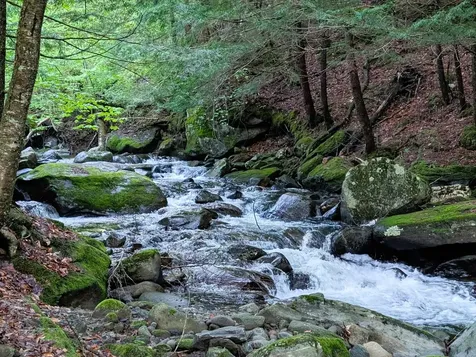 226 Lucier Road Jay VT 05859