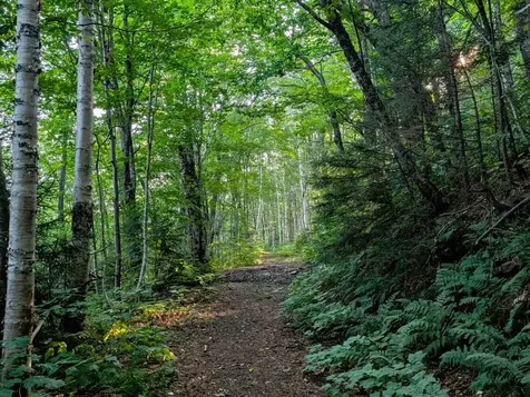 226 Lucier Road Jay VT 05859