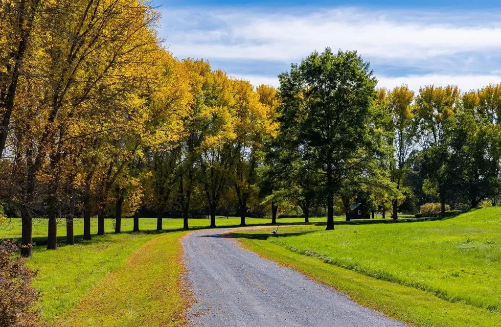 1028 Converse Bay Road Charlotte VT 05445-0000