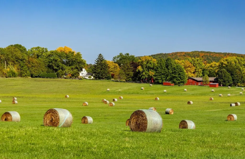 1028 Converse Bay Road Charlotte VT 05445-0000