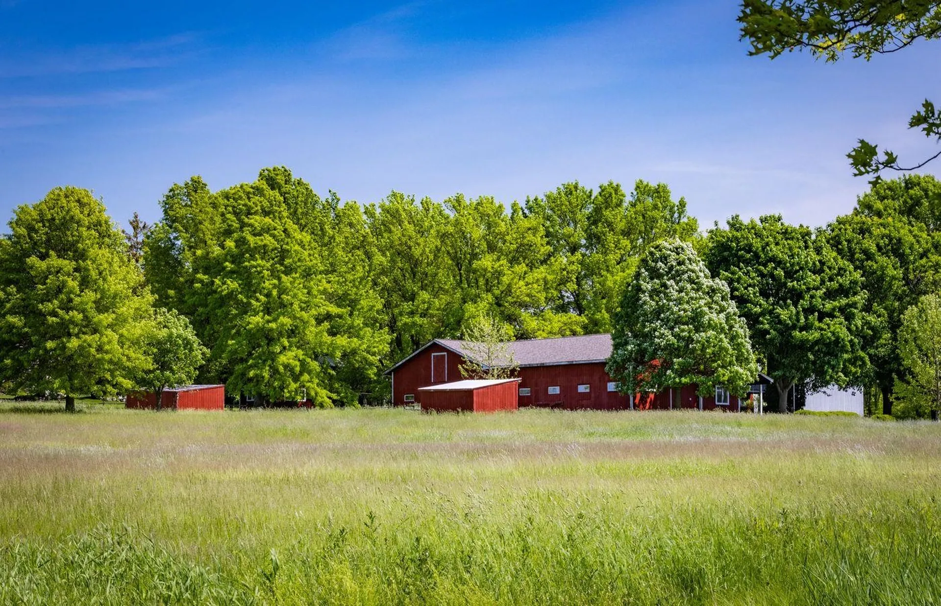 1028 Converse Bay Road Charlotte VT 05445-0000