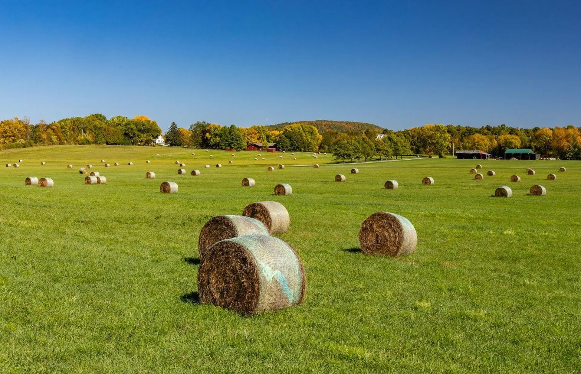 1028 Converse Bay Road Charlotte VT 05445-0000