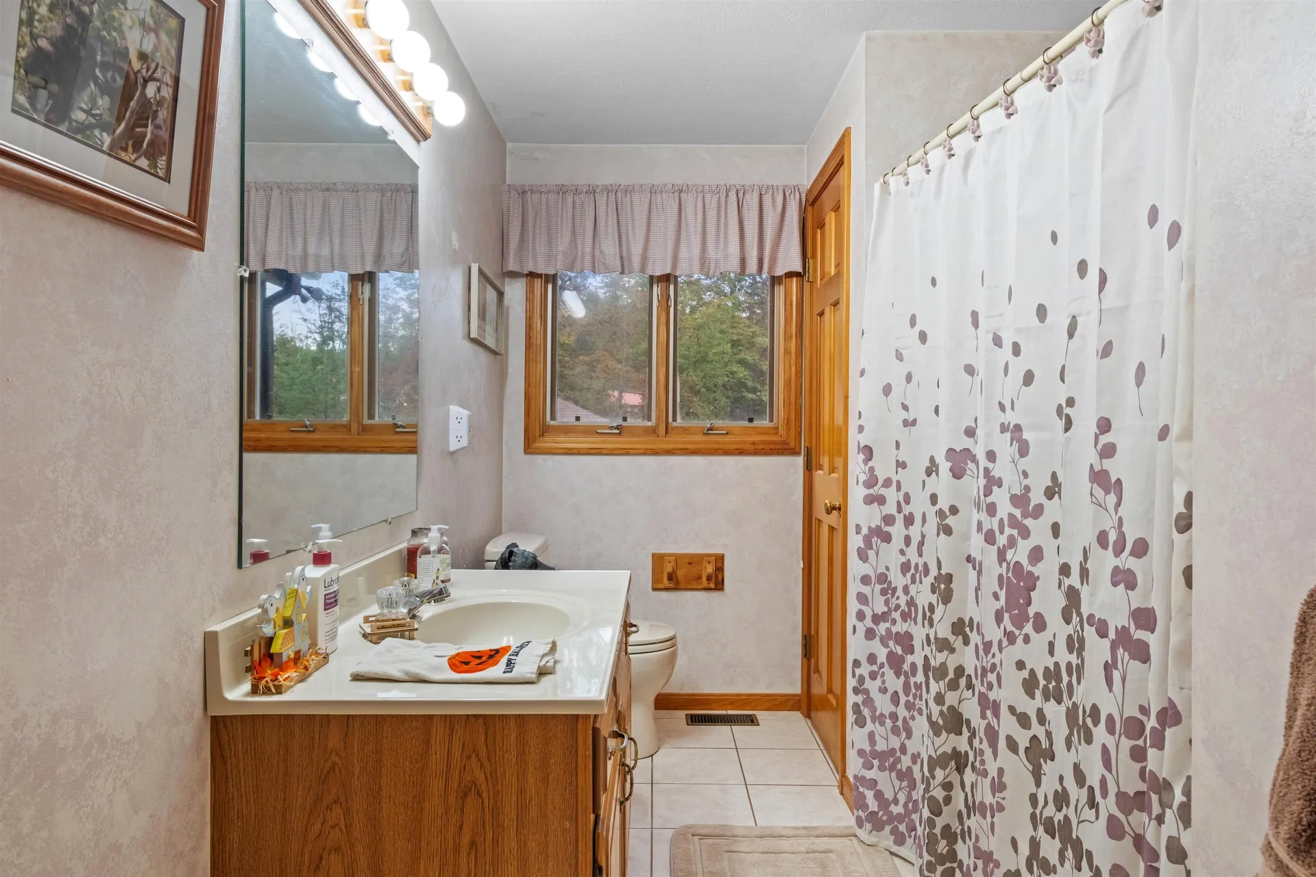 152 Wildwood Drive Moultonborough NH 03254