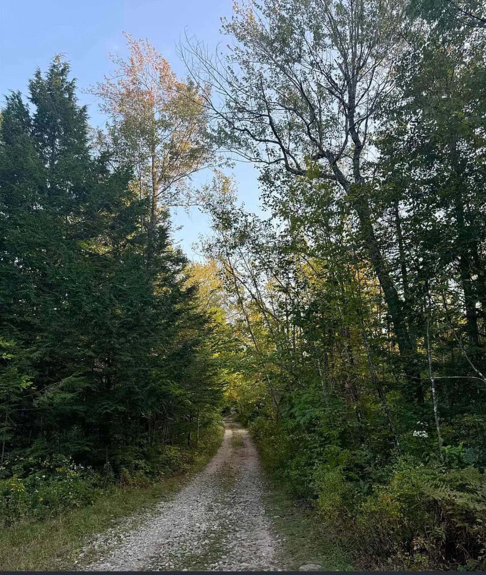 8 Horn Brook Road Middleton NH 03887