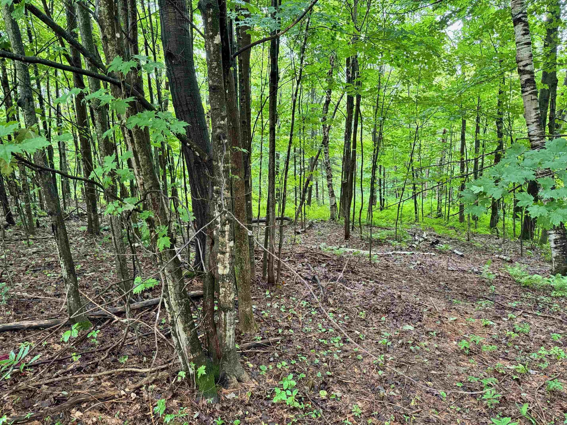 00 Morin Drive Jay VT 05859