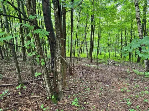 00 Morin Drive Jay VT 05859