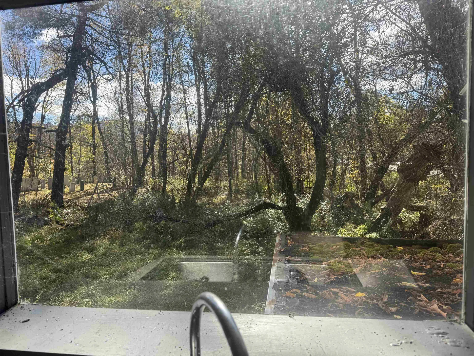 12 Delong Road Duxbury VT 05660