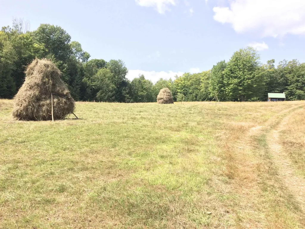 1607 Massey Road Springfield VT 05156