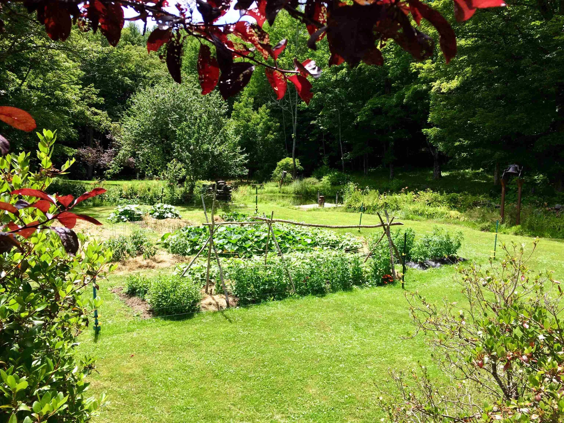 1607 Massey Road Springfield VT 05156