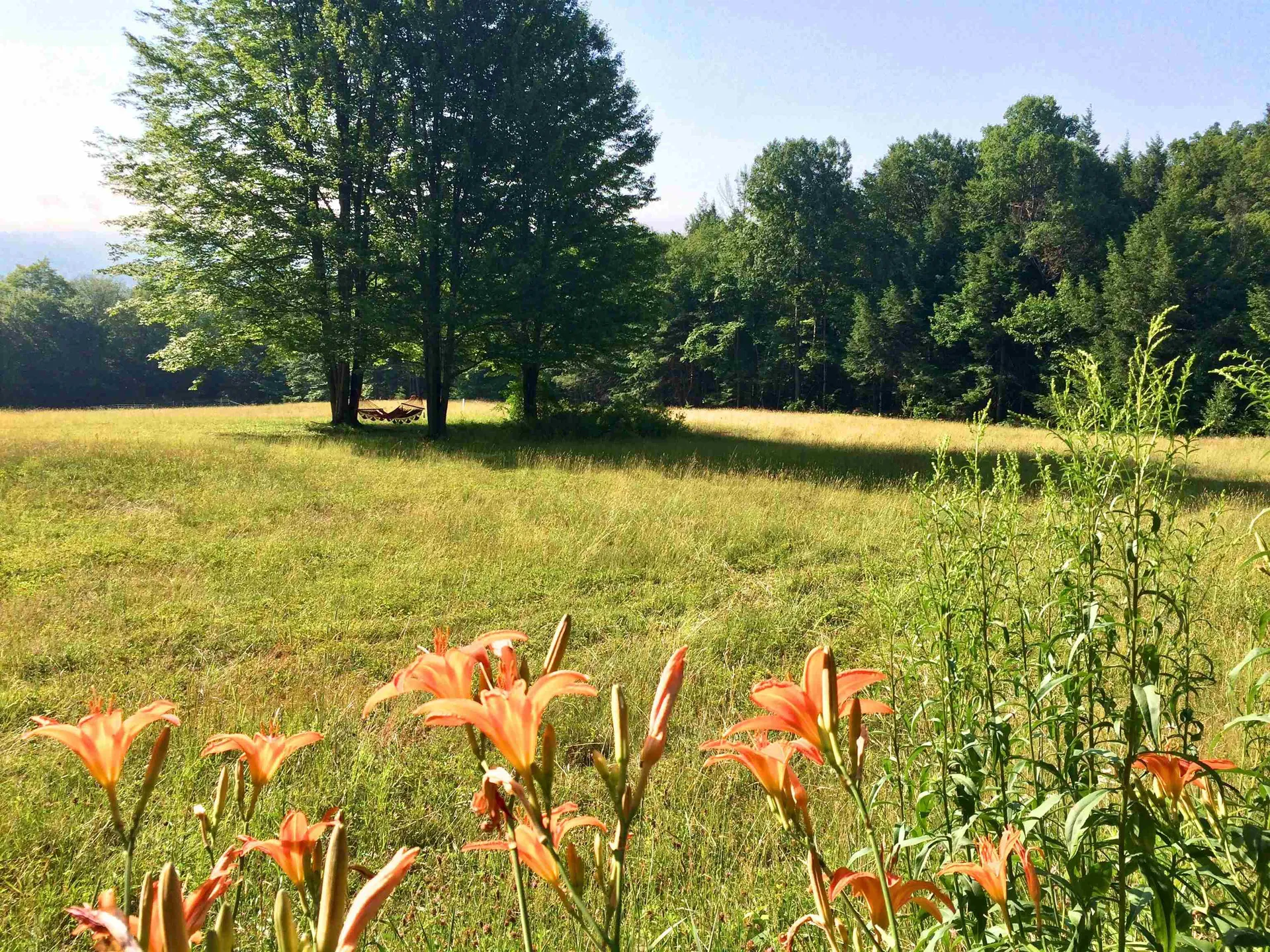 1607 Massey Road Springfield VT 05156