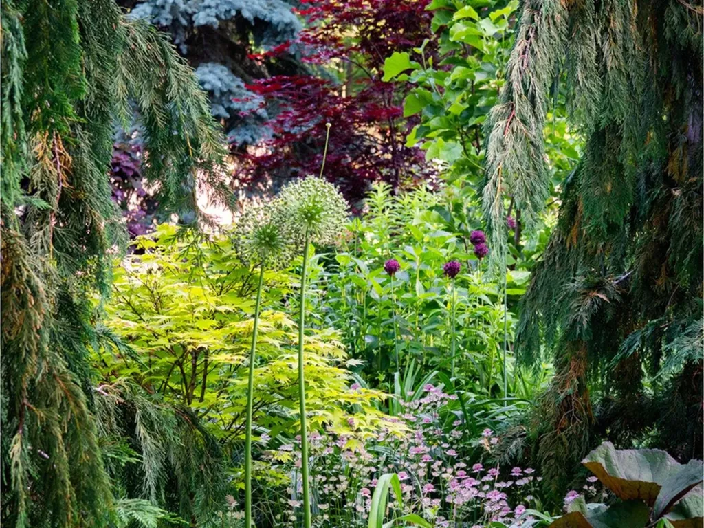 49 Mansfield Avenue Burlington VT 05401