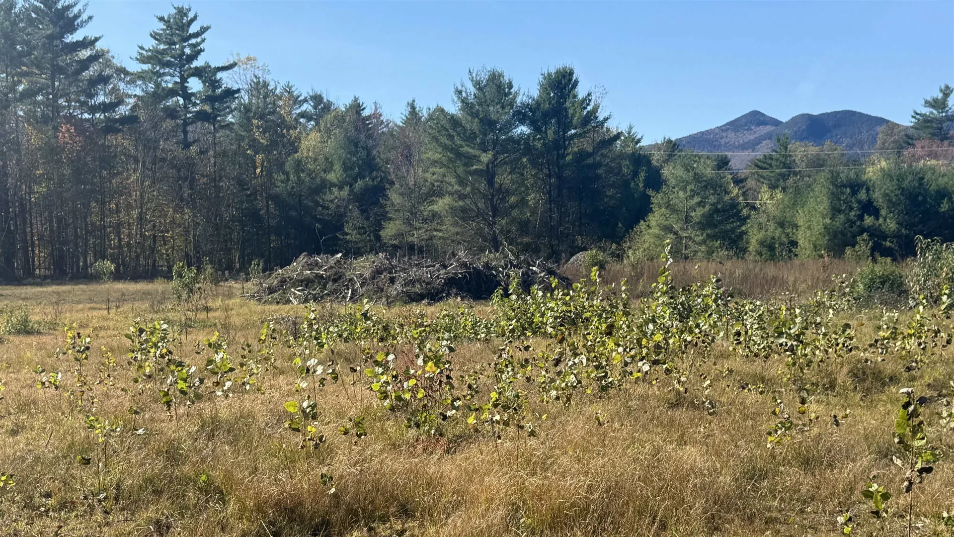 00 Us Route 302 Bartlett NH 03812