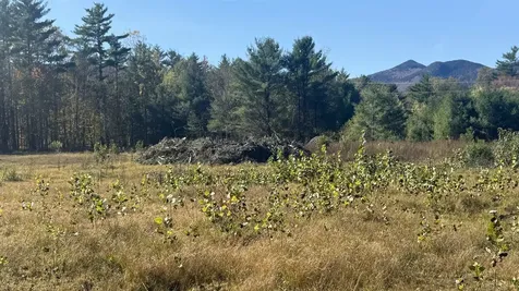 00 Us Route 302 Bartlett NH 03812