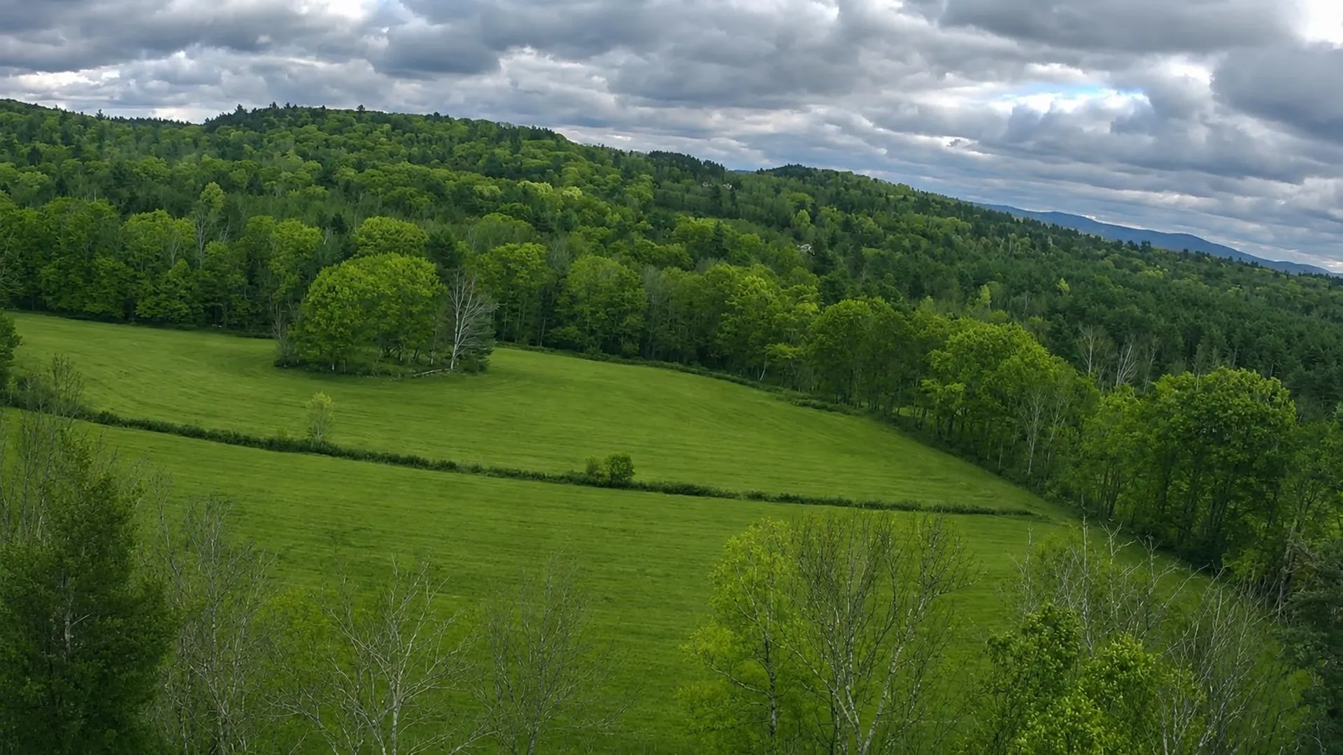 178 North Road Alstead NH 03602
