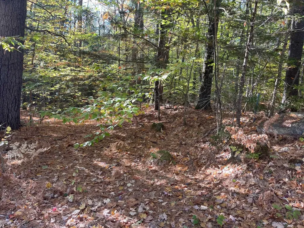 00 Mooney Hill Road Madison NH 03849