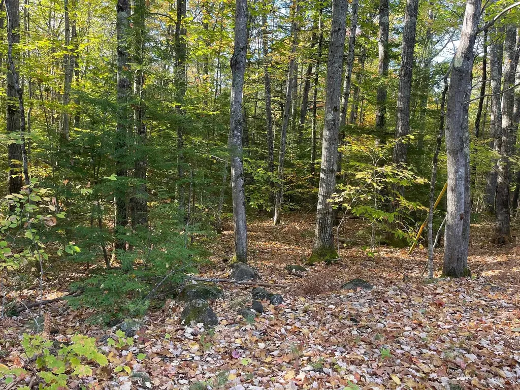 00 Mooney Hill Road Madison NH 03849