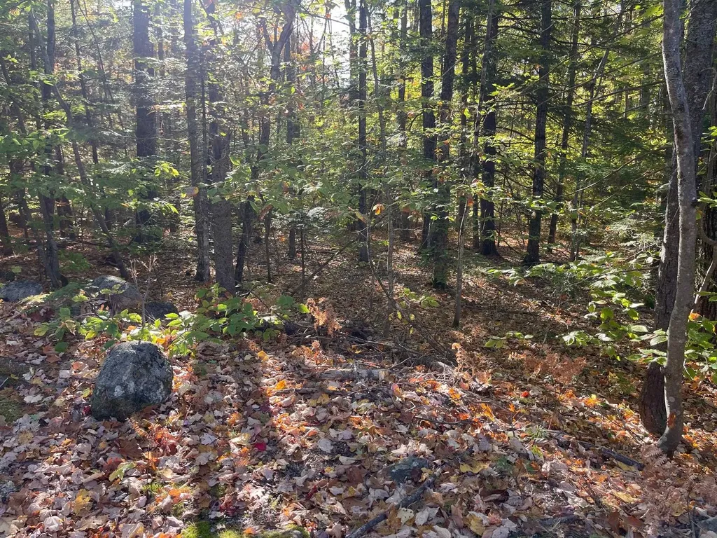 00 Mooney Hill Road Madison NH 03849