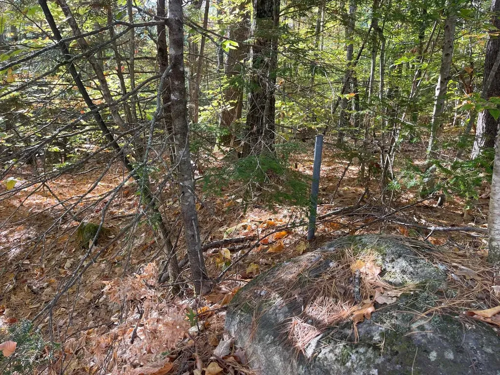 00 Mooney Hill Road Madison NH 03849