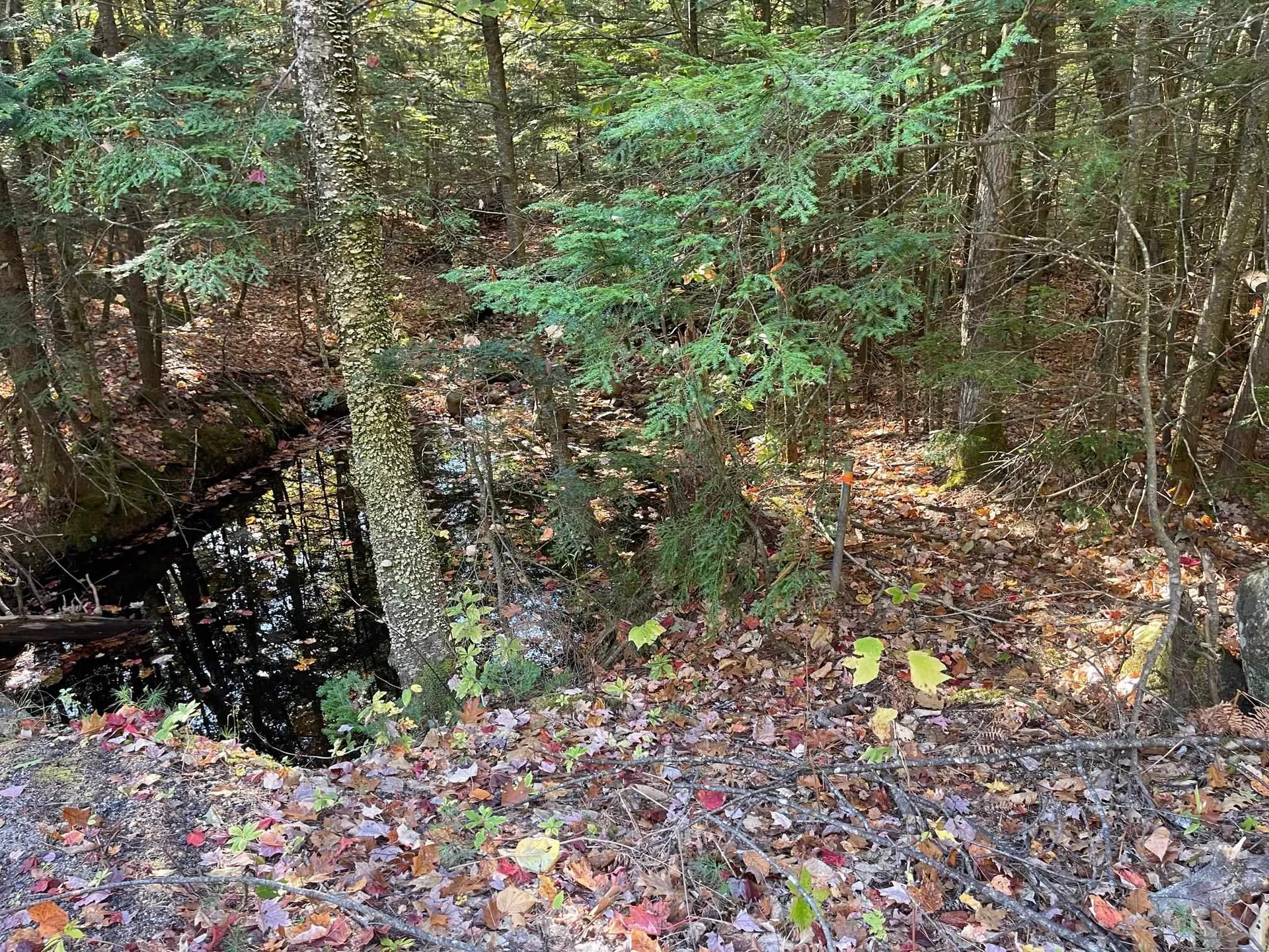 00 Mooney Hill Road Madison NH 03849