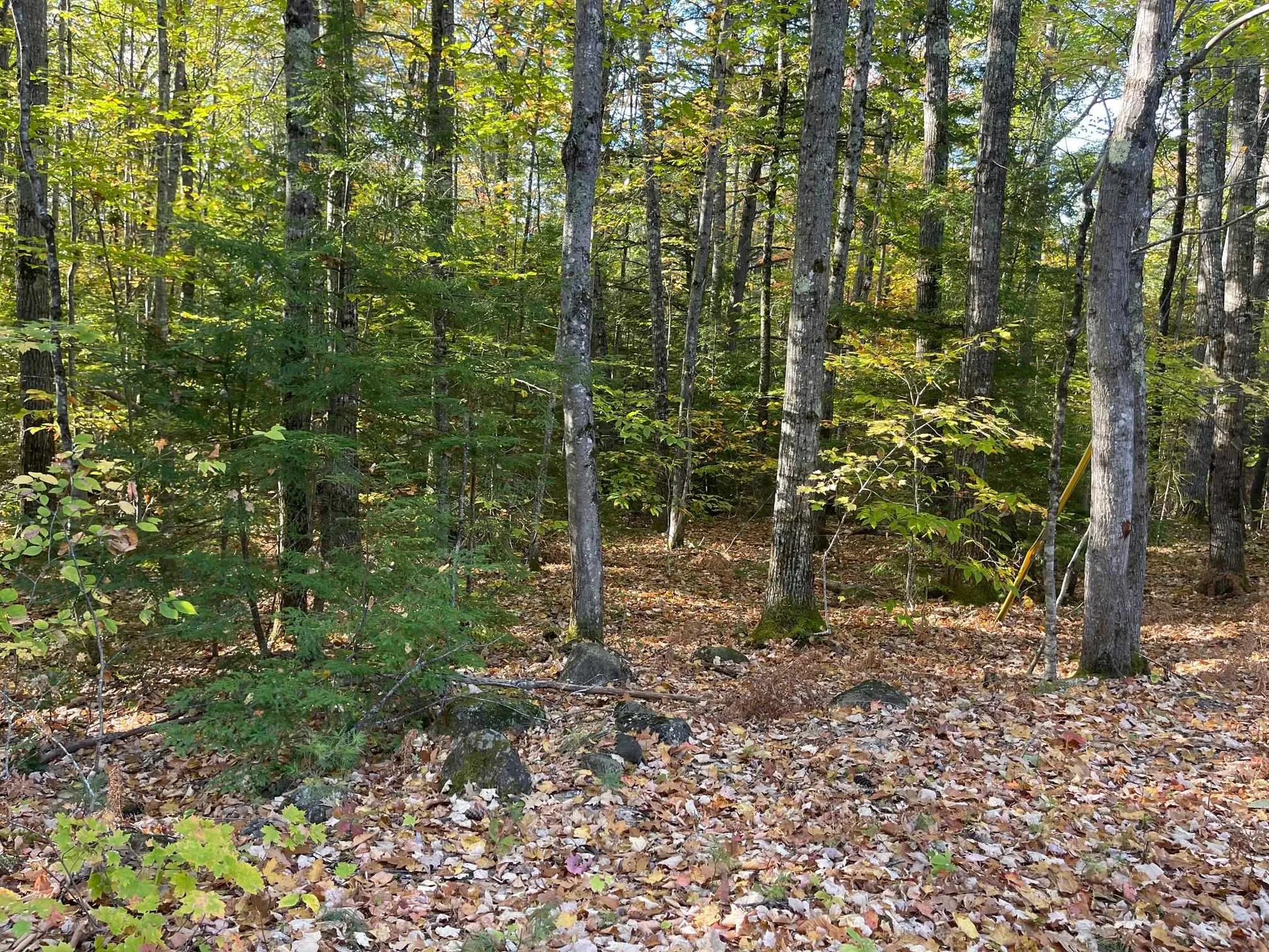 00 Mooney Hill Road Madison NH 03849