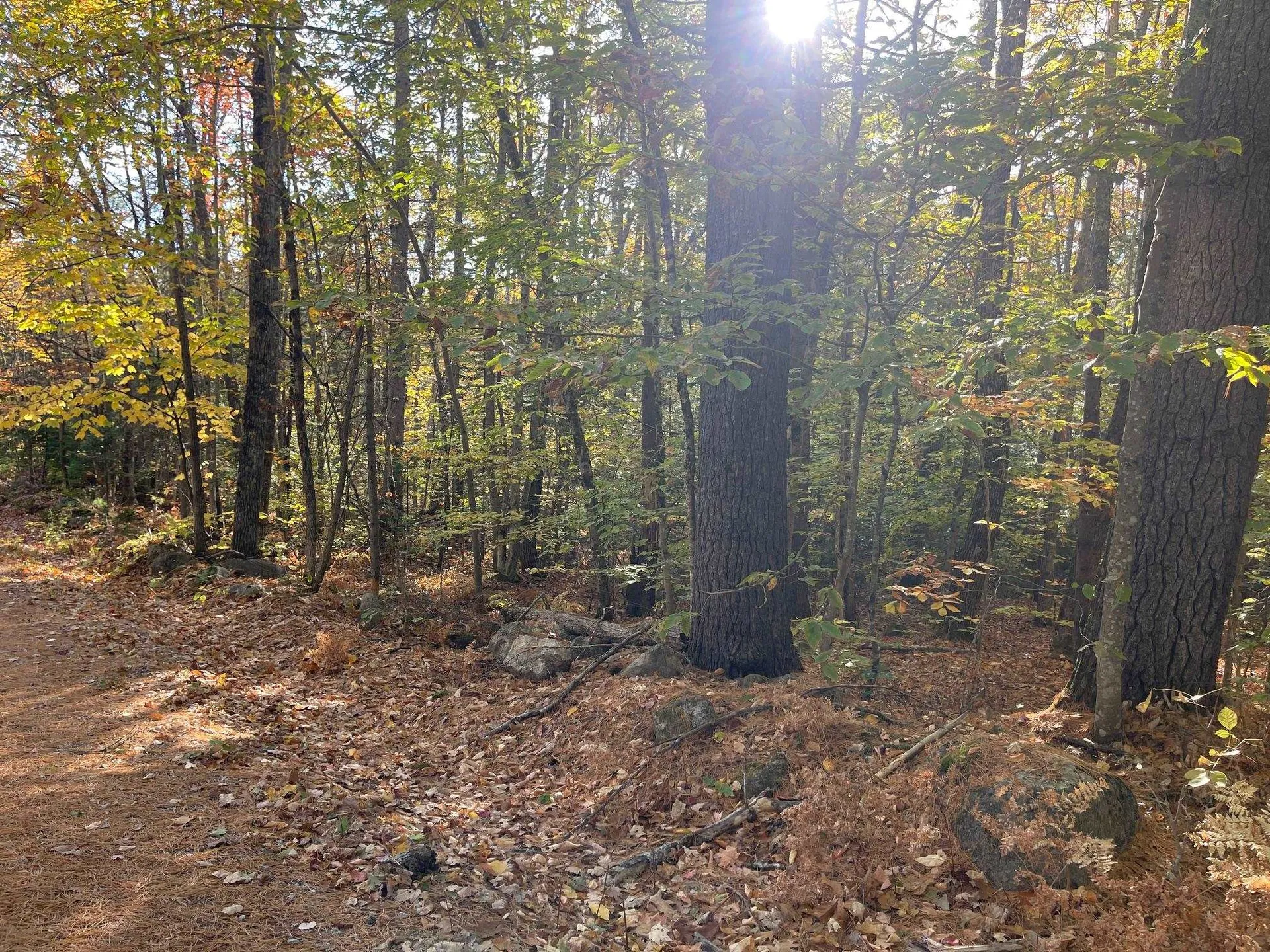 00 Mooney Hill Road Madison NH 03849