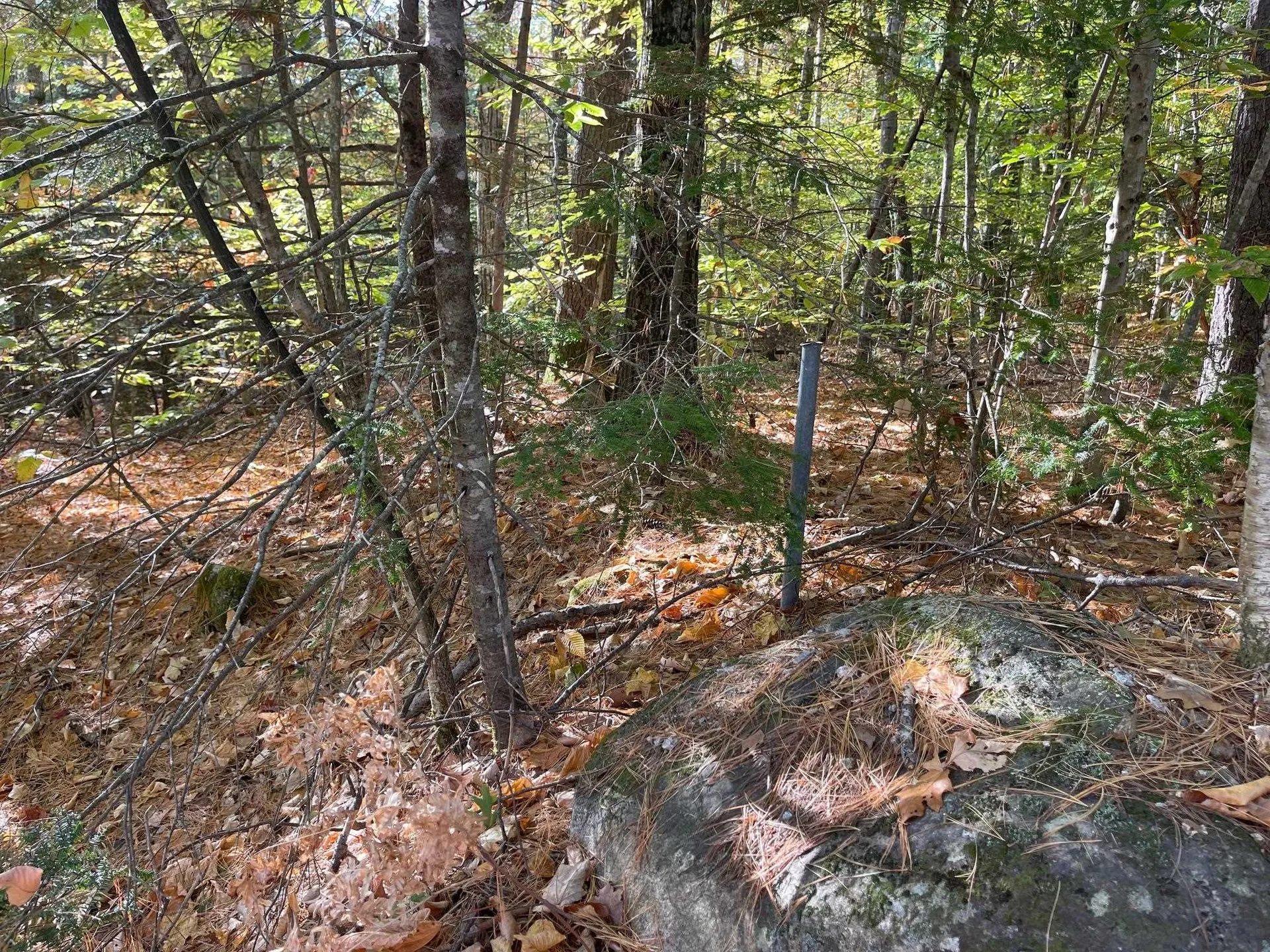 00 Mooney Hill Road Madison NH 03849