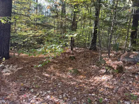 00 Mooney Hill Road Madison NH 03849