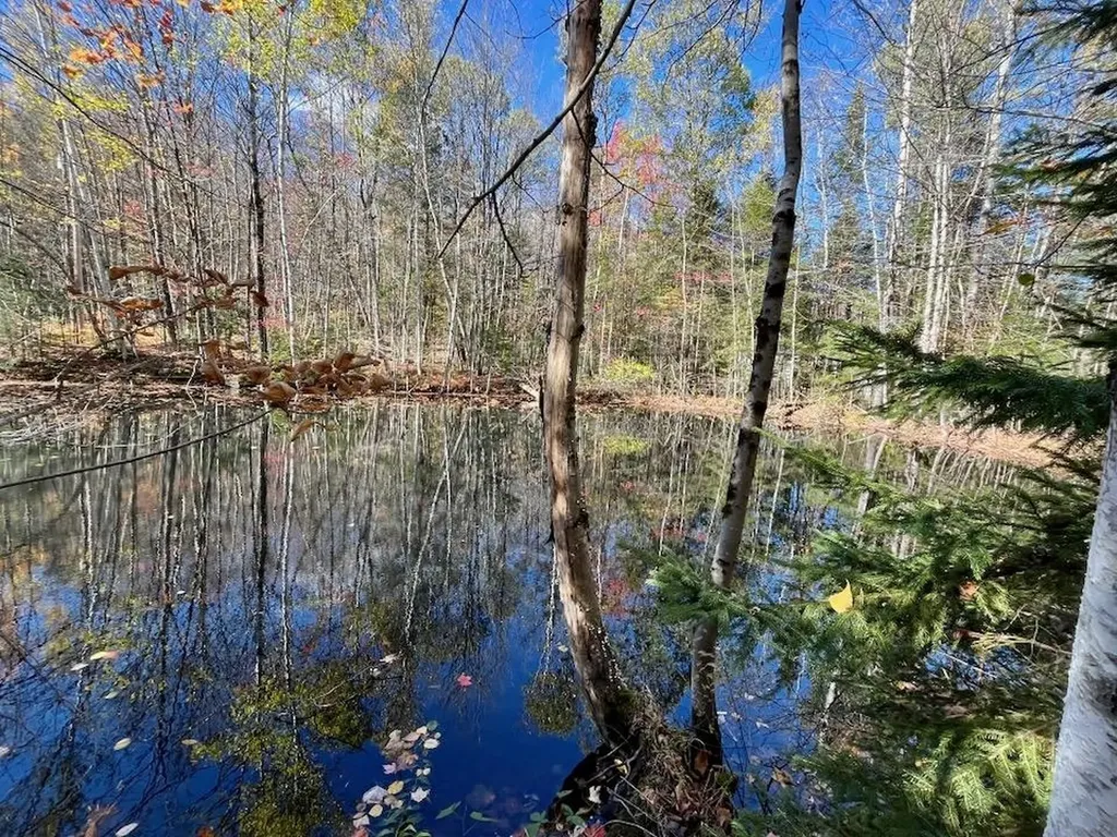 377 Glen Road Peru VT 05152