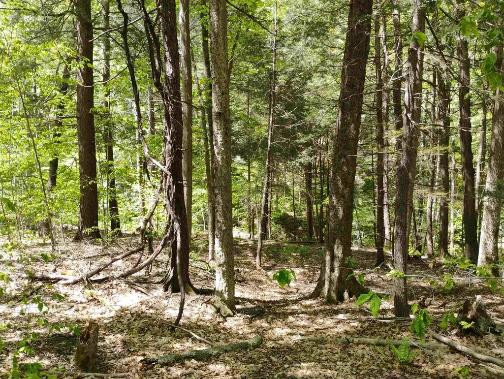 215 Melendy Hill Road Guilford VT 05301