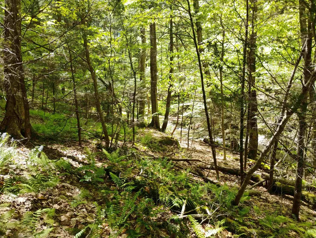 Part Of 215 Melendy Hill Road Guilford VT 05301