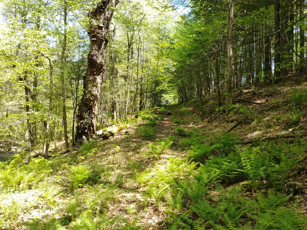 Part Of 215 Melendy Hill Road Guilford VT 05301