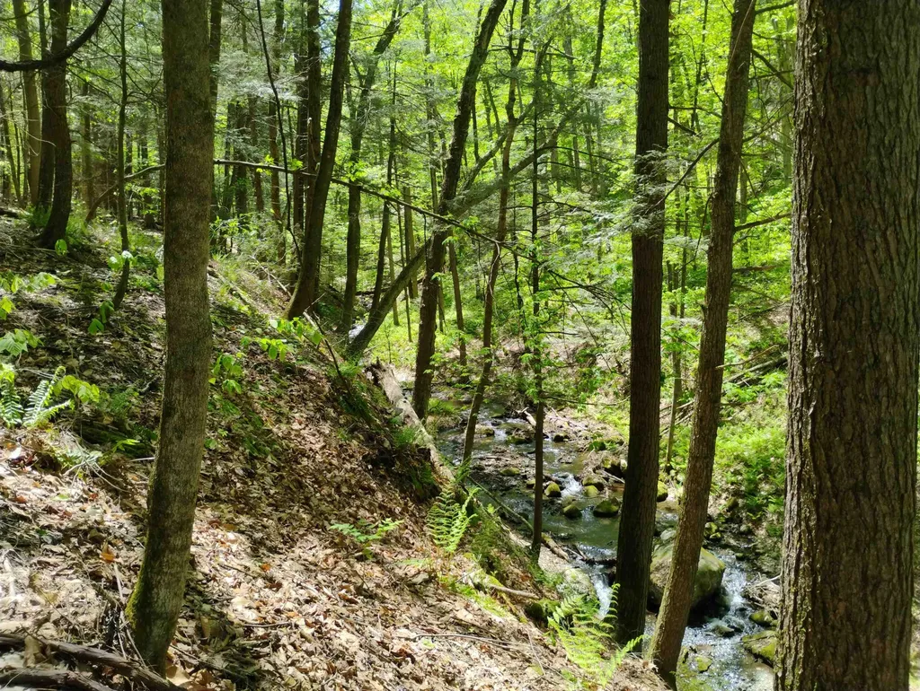 Part Of 215 Melendy Hill Road Guilford VT 05301
