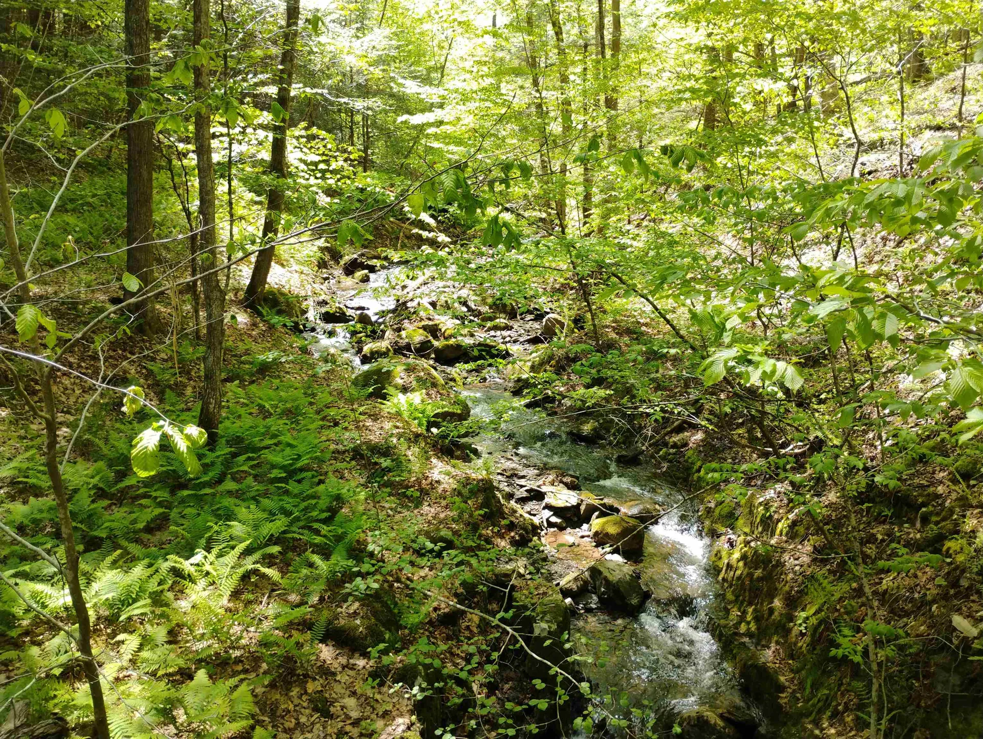Part Of 215 Melendy Hill Road Guilford VT 05301